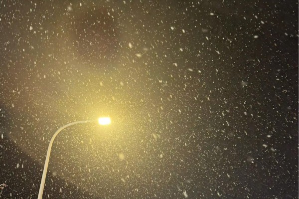 1763430491817916.jpg 路灯下的雪花.jpg