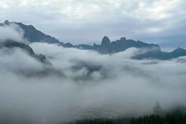 1763448394389605.jpg 图片2.jpg